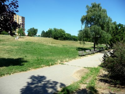 P1200805a