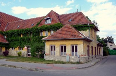 Orlovna5_16